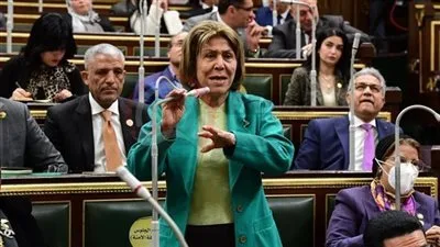 فريدة الشوباشي: لا أحد يتفوق على مصر في دعمها، ومن يريد الدفاع عن القضية الفلسطينية يجب أن يفعل ذلك من بلده وليس من هنا. فريدة الشوباشي: لا أحد يتفوق على مصر في دعمها، ومن يريد الدفاع عن القضية الفلسطينية يجب أن يفعل ذلك من بلده وليس من هنا.