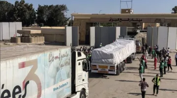 إسماعيل تركي: منذ بداية النزاع، مصر تؤازر جميع الجهود الرسمية والشعبية للتضامن مع فلسطين.