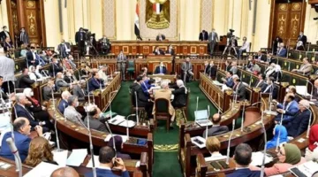 النواب: مصر كانت أول دولة تنبه لزيادة الصراع الإقليمي وتتحمل عواقب تمسكها بحقوق الفلسطينيين