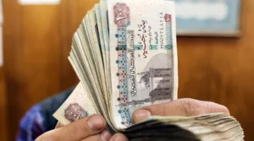نشرة السبورة | رسميًا.. قائمة الرواتب الجديدة لأعضاء هيئة التدريس بالجامعات بعد الزيادة في يوليو.. وزير التربية والتعليم: زيادة عدد الحصص للمعلمين.
