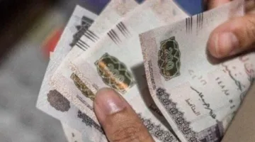 جدول رفع رواتب المعلمين الجديد يوليو 2025.. معلومات حول قرارات وزارة المالية الأخيرة