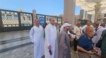 تقوم بعثة حج الجمعيات الأهلية بتنظيم جولات إلى الروضة الشريفة في المسجد النبوي.