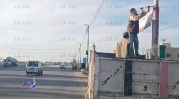 بموجب القانون.. متطلبات جديدة للحصول على ترخيص إعلانات الطرق