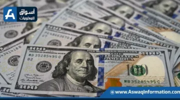 ضبط قضايا تجارة غير مشروعة في النقد الأجنبي بقيمة 16 مليون جنيه