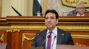 وكيل “النواب العرب”: نعارض أي انتهاك للمعايير السيادية والتنظيمية في المناطق الحدودية.. ومصر تؤكد التزامها بدعم القضية الفلسطينية