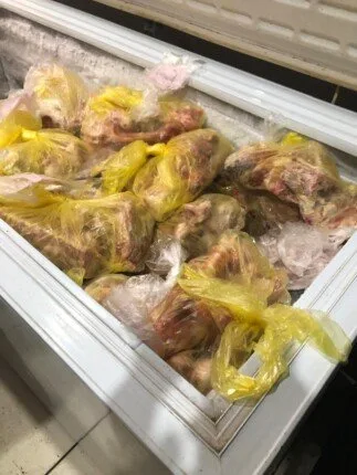 مصادرة 600 كجم من اللحوم الفاسدة في مطعم معروف ببنها.. صحة القليوبية توصي بإغلاقه