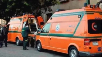 إصابة ثلاثة أفراد بالتسمم بعد تناولهم وجبات خفيفة فاسدة في المنوفية