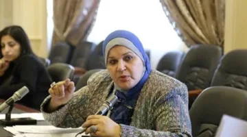النائبة مايسة عطوة: مصر لا تزال تمثل الأساس في دعم القضية الفلسطينية