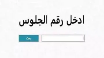 نتائج الصف الثالث الإعدادي برقم الجلوس في كافة المحافظات.. تابعونا للحصول عليها هنا