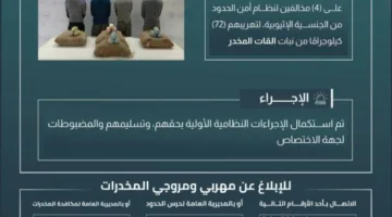 إلقاء القبض على أربعة أشخاص لتهريبهم 72 كيلوغرامًا من القات في الربوعة