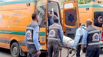 تصادم مروع بين سيارتين يعيق الحركة المرورية على الطريق الإقليمي في المنوفية