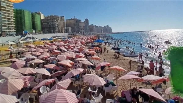 إشغال بنسبة 90%: إقبال واسع على شواطئ الإسكندرية مع مراقبة ميدانية متزايدة