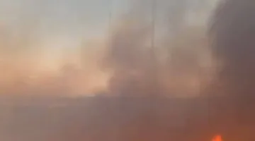 حريق ضخم يندلع في غابات وأشجار قرية بساط بطلخا .. صور