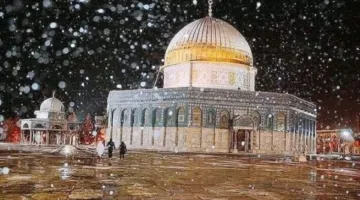 حزب الوعي: مصر دولة كبيرة لا تتسامح مع السياسة المفروضة.