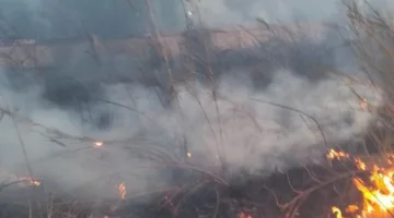 تفاصيل اندلاع حريق في مركز إرسال بطرة بمحافظة الدقهلية