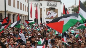 المغرب: تظاهرات في 66 مدينة احتجاجًا ضد الإبادة الإسرائيلية في غزة.