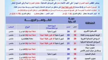 الأرصاد الجوية تحذر من ارتفاع شديد في درجات الحرارة اليوم مع وجود ضباب كثيف على بعض الطرق