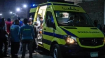 مقتل عاملين وإصابة 12 آخرين جراء انقلاب ميكروباص في العياط
