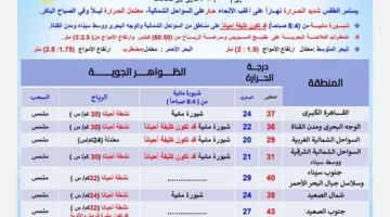 تحذير عاجل من هيئة الأرصاد: ضباب كثيف ورياح نشطة تسبب الأتربة في هذه المناطق