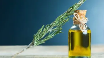 فوائد زيت إكليل الجبل للشعر والصحة العامة