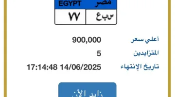 لوحة سيارة مكتوب عليها ‘سبع’ تُباع بـ 900 ألف جنيه