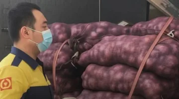 بالبصل.. شابة تستعيد حقها من حبيبها الغادر بطريقة مدهشة لا تُنسى