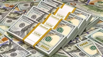 استقرار سعر الدولار في البنك المركزي المصري اليوم السبت 14 يونيو 2025