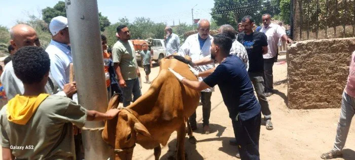 جامعة المنيا تبدأ حملة بيطرية متكاملة لحماية وتعزيز الثروة الحيوانية في قرية الرحمانية