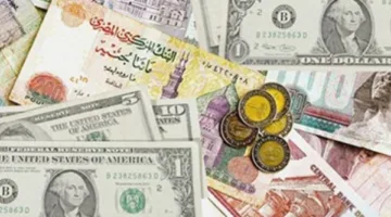 أسعار الصرف للعملات الأجنبية والعربية مقابل الجنيه اليوم السبت 14 يونيو 2025 | فيديو