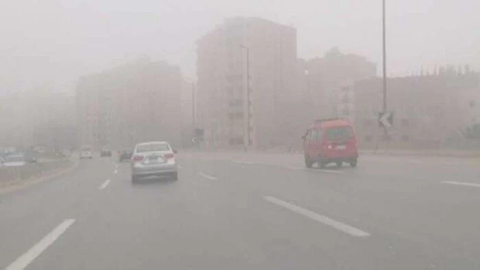 تقرير حالة الطقس اليوم السبت 14 يونيو في جميع أنحاء البلاد: ضباب ورياح.