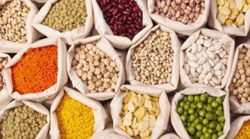 أسعار البقوليات في محافظة الغربية اليوم السبت 14 يونيو 2025