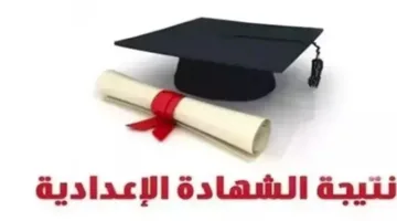نتائج الشهادة الإعدادية لعام 2025 بمحافظة الجيزة برقم الجلوس.. رابط للاطلاع الرسمي
