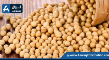 زيادة أسعار فول الصويا العالمية بسبب تصاعد التوترات الجيوسياسية