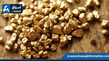 مالي تؤسس مصفاة ذهب حكومية بالتعاون مع شركة روسية