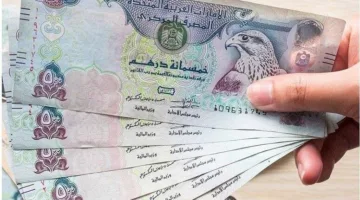 سعر الدرهم الإماراتي مقابل الجنيه اليوم، السبت 14 يونيو 2025