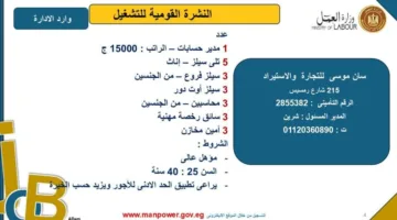 وزارة العمل تكشف عن فرص عمل جديدة في محافظة القاهرة.. اكتشف التفاصيل