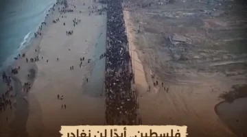 الوثائقية تبث اليوم فيلمي “أحمد عبد المعطي حجازي” و”فلسطين لن نغادر أبدًا”