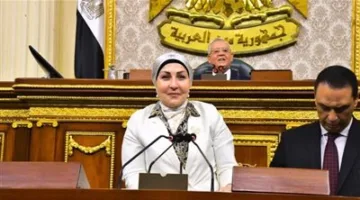 النائبة هالة أبو السعد: صمت المجتمع الدولي أعطى إسرائيل الضوء الأخضر لارتكاب المجازر وتهديد الأمن العالمي