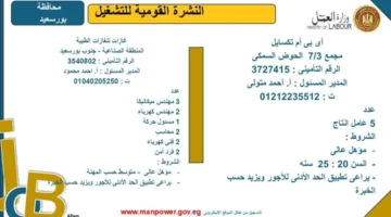 وزارة العمل تفتح باب التقديم لوظائف جديدة في محافظة بورسعيد.. اكتشف التفاصيل