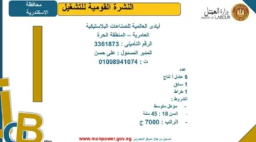 وزارة العمل تصدر قائمة وظائف جديدة في محافظة الإسكندرية.. اكتشف التفاصيل
