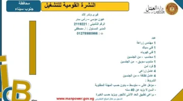 وزارة العمل تكشف عن فرص عمل جديدة في جنوب سيناء.. اكتشف التفاصيل