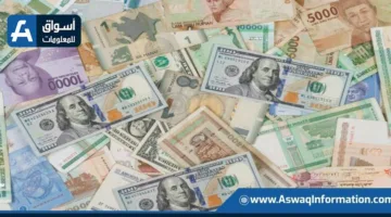 استهداف قضايا تهريب العملات الأجنبية بقيمة 15 مليون جنيه
