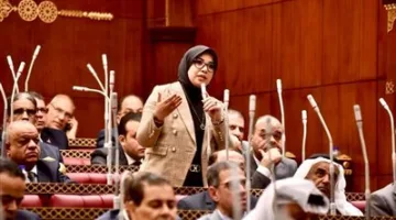 النائبة دينا هلالي: توتر الوضع الإقليمي يعود لغياب الحلول السياسية، ومصر تستمر في نموذج السياسة المتوازنة.