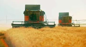 محافظ أسوان: تحقيق نسبة 112.7% في توريد القمح متجاوزاً المستهدف