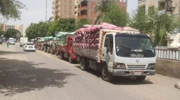 بالأرقام… وصول 507 آلاف طن من القمح إلى المنيا منذ بداية موسم 2025