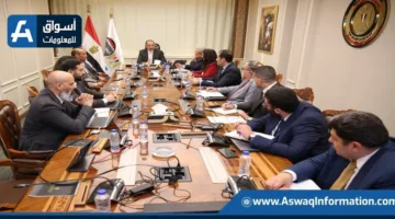 وزير قطاع الأعمال العام يشدد على ضرورة تحسين البنية الرقمية وزيادة كفاءة الإدارة والتشغيل في الشركات.