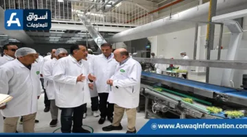رئيس الوزراء: القطاع الزراعي حقق قفزات ملحوظة في صادراته.. ونسعى لتوسيع المساحات المزروعة