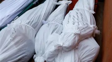 الصحة الفلسطينية: زيادة عدد الشهداء جراء العدوان الإسرائيلي على غزة إلى 55297 شخصًا.