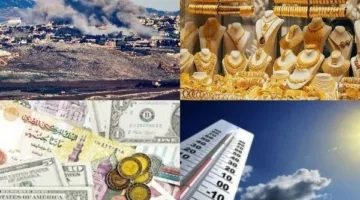 برنامج حواري.. تذبذب أسعار الذهب والعملات مستمر.. وتكثيف الجهود المرورية استعداداً لامتحانات الثانوية العامة