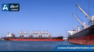 ميناء دمياط يستقبل 41224 طنًا من البضائع تشمل الذرة وزيت الصويا